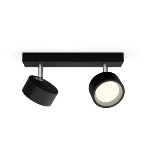 Foco Orientable Bracia Negro 2L Philips