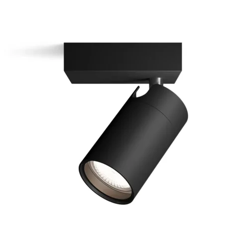 Foco Orientable Idris Negro 1L IP44 Philips