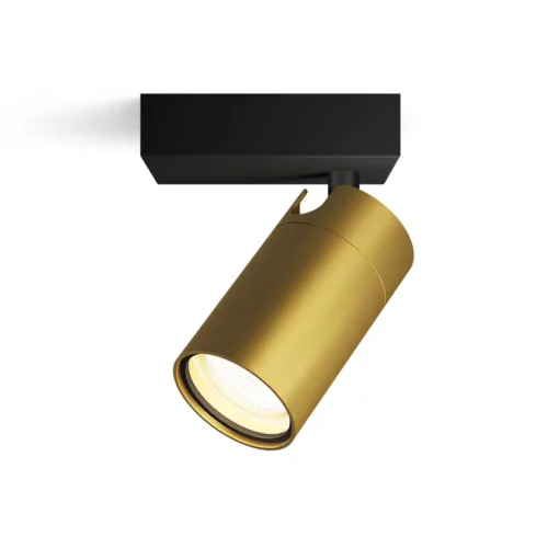 Foco Orientable Idris Latón 1L IP44 Philips