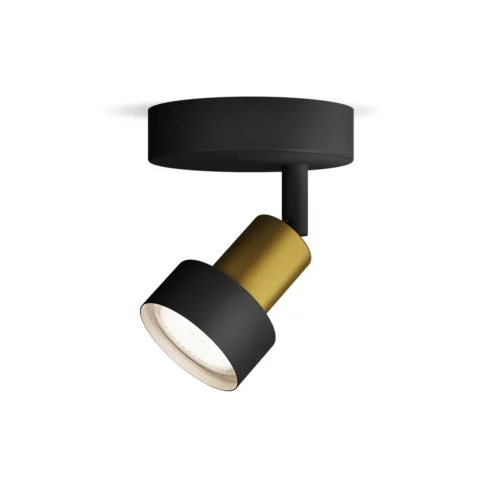 Foco Orientable Conduit Negro Latón 1L Philips