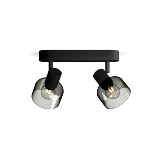 Foco Orientable Sleet Negro 2L Philips