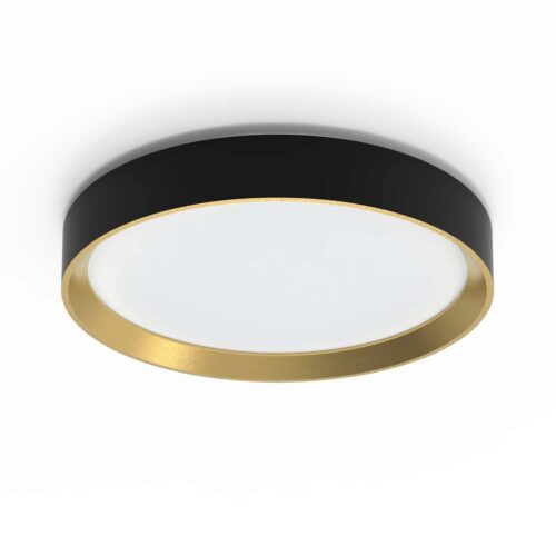 Plafón LED Hanno Negro 24W 4000ºk Philips